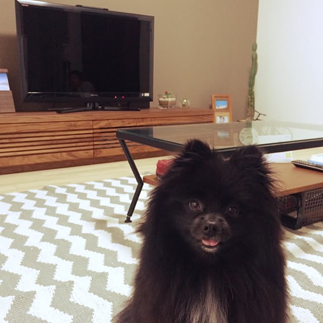 achikoさんの実例写真