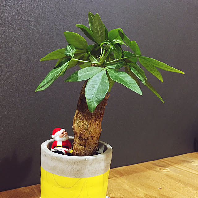 hmhomeさんの実例写真
