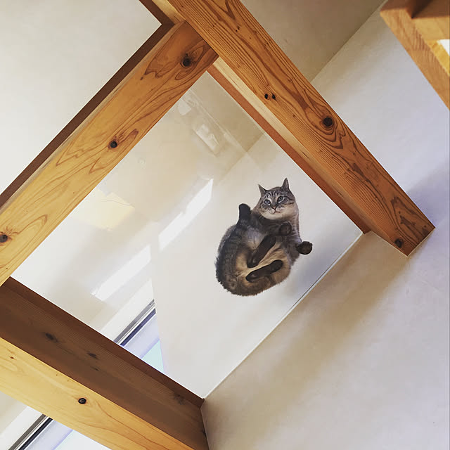 bamboobooCatDogさんの実例写真