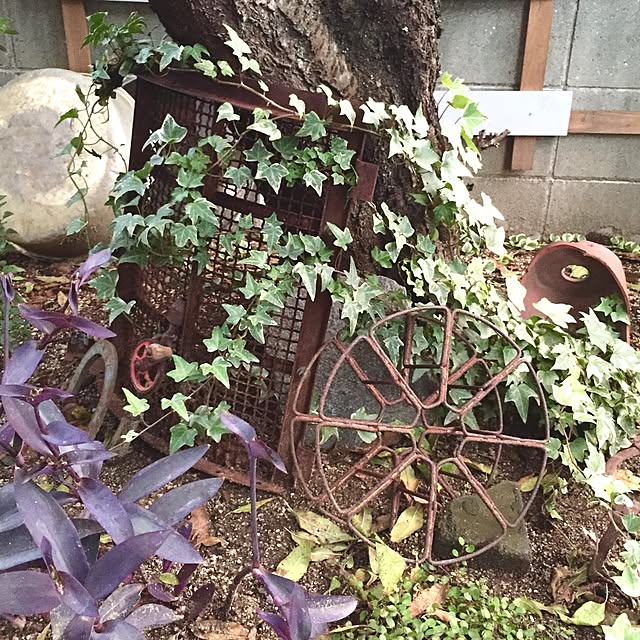 bibianさんの実例写真