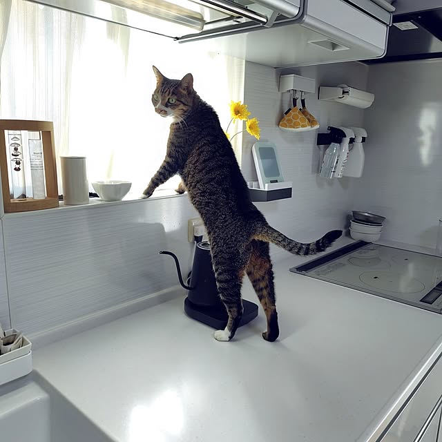 nachiさんの部屋