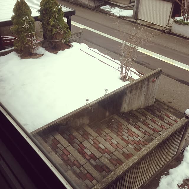 Kinanさんの実例写真