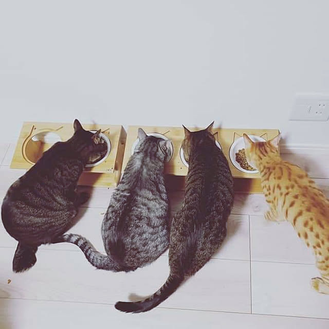 realさんの実例写真