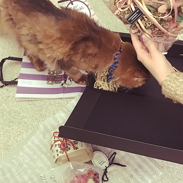 yukarinさんの実例写真
