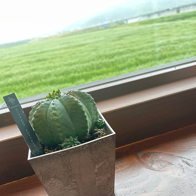 itoさんの部屋