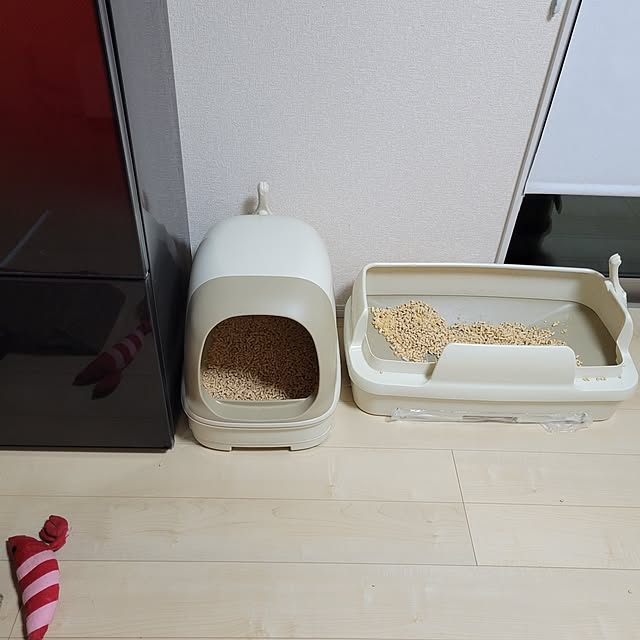 KimmieMouseさんの部屋