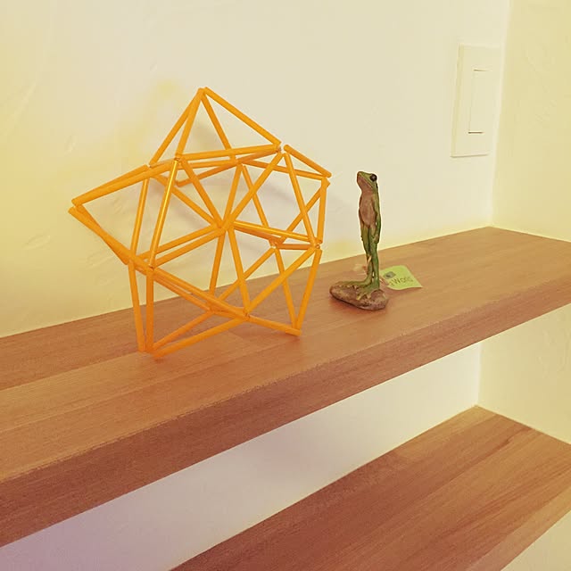 frog_0101さんの実例写真