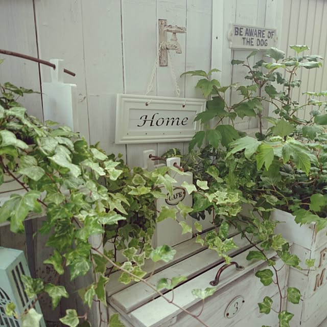 M_house_officialさんの実例写真