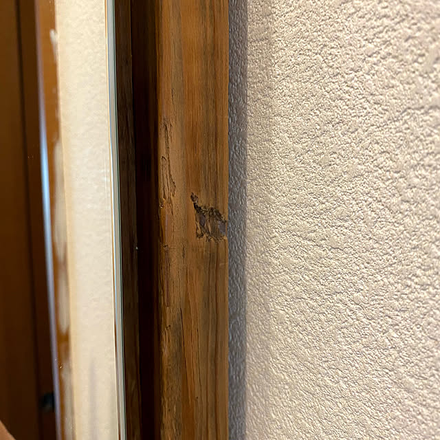 moana_no_ieさんの部屋