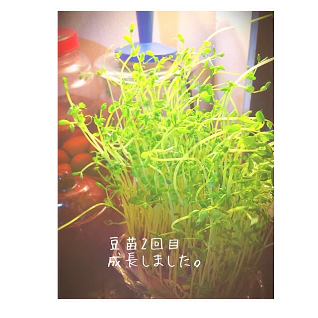 38coreさんの実例写真