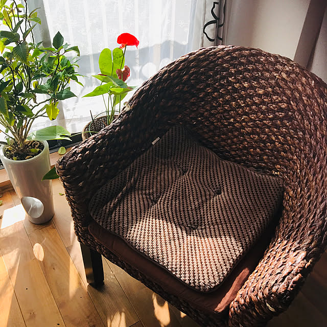 masaさんの実例写真