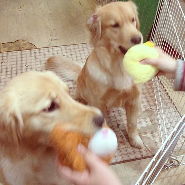 maxさんの実例写真