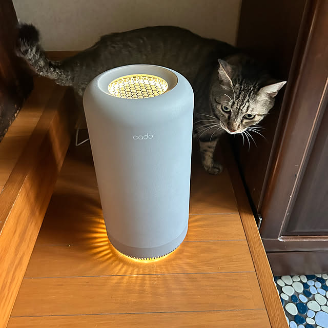 mikan161さんの実例写真