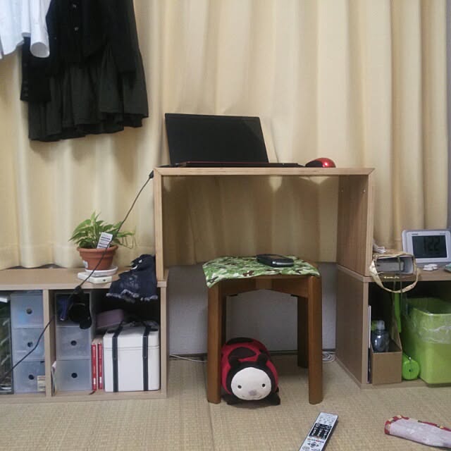 ds15さんの実例写真
