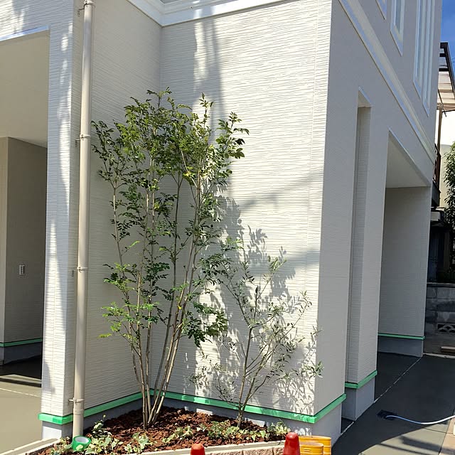 myhome2さんの実例写真