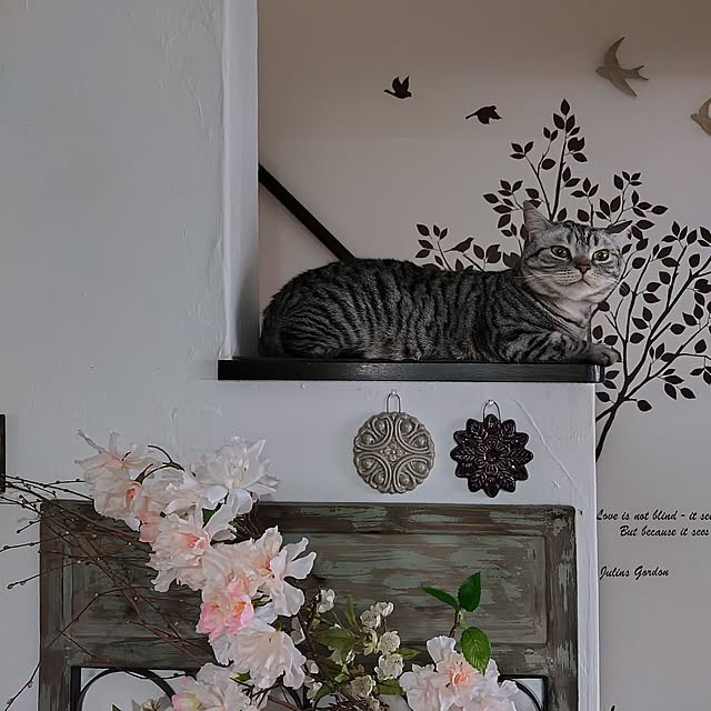 hiro3さんの部屋