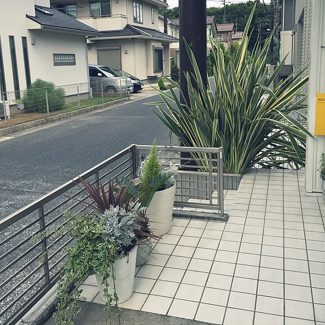 seadogさんの実例写真