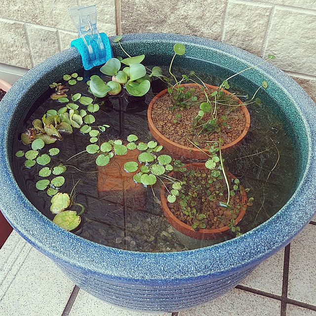 soyokoさんの実例写真