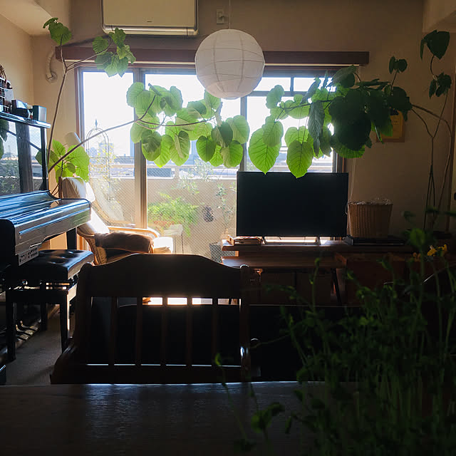 cottoncottonさんの実例写真