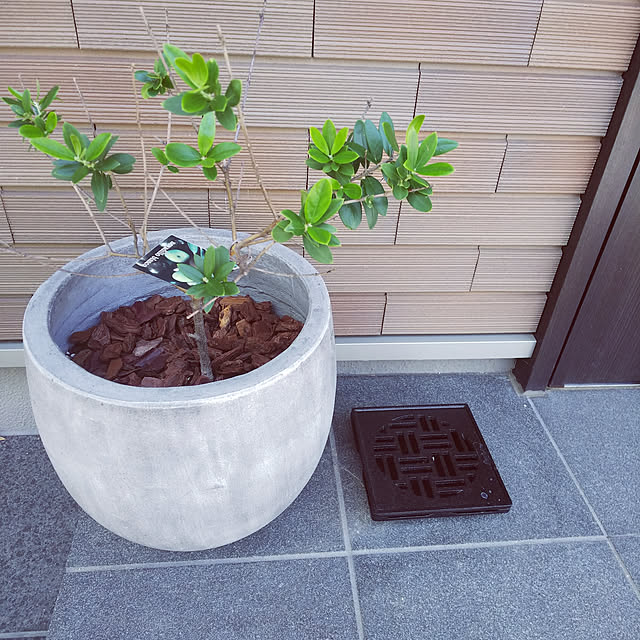yukkoさんの実例写真