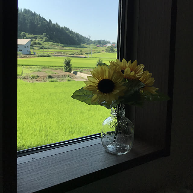 Miriさんの実例写真