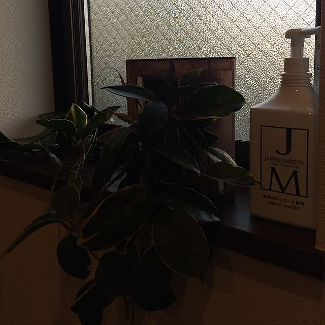 purimomamaさんの実例写真