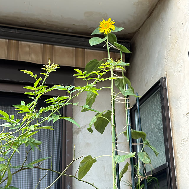 tabasaさんの部屋