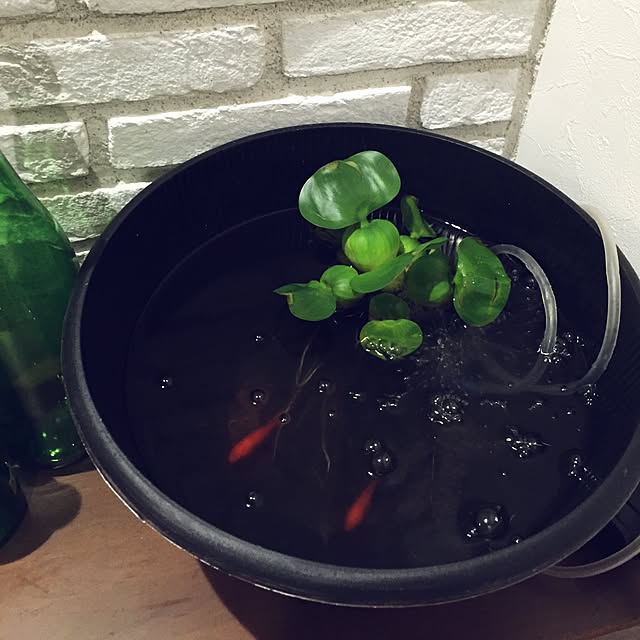 BARONさんの実例写真