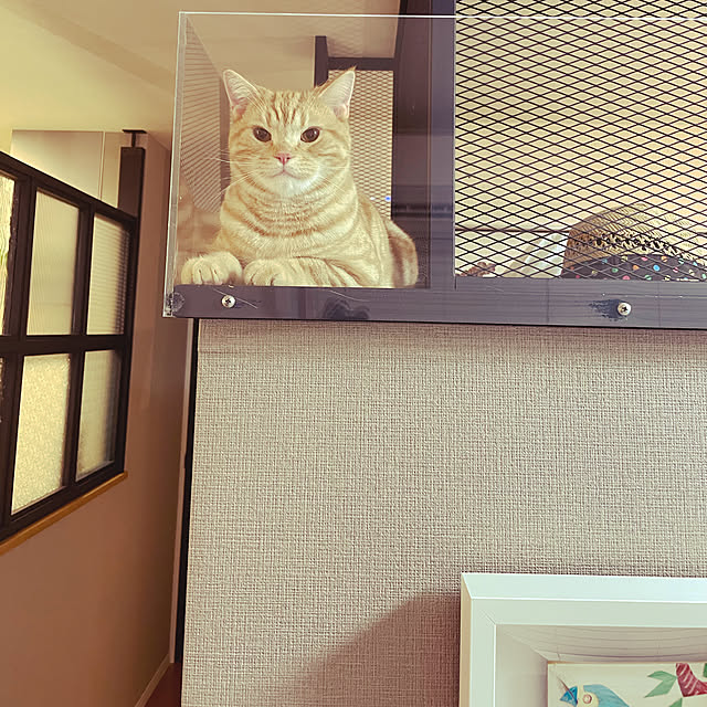 tocotoco22さんの実例写真