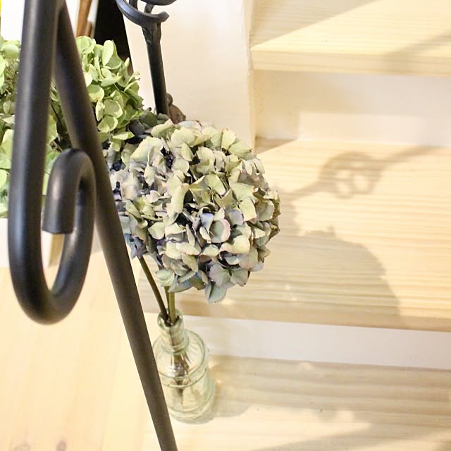 wisteriaさんの実例写真
