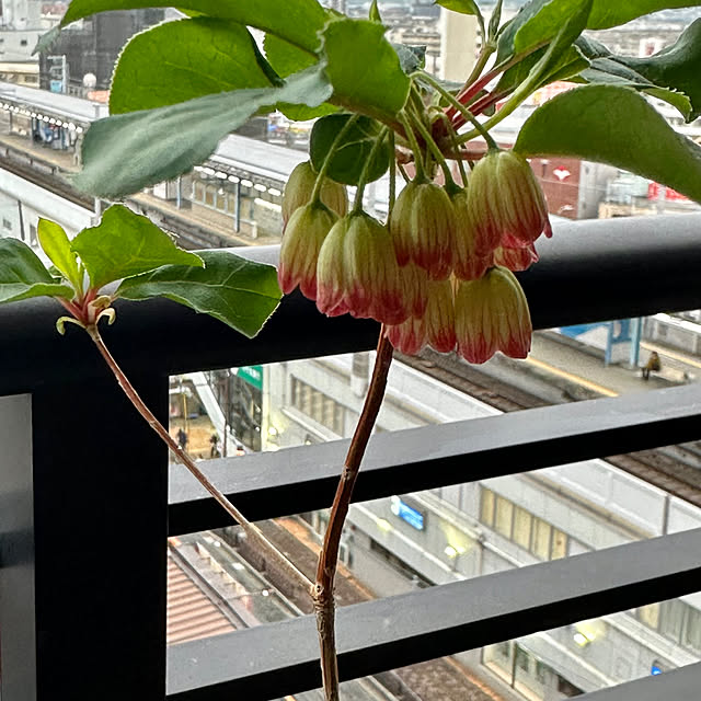 Naochanhoikuenさんの部屋