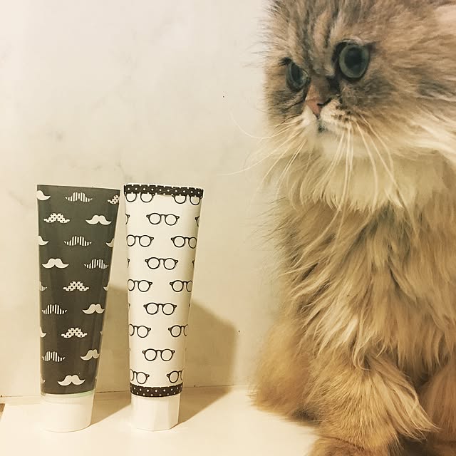 Eriさんの実例写真