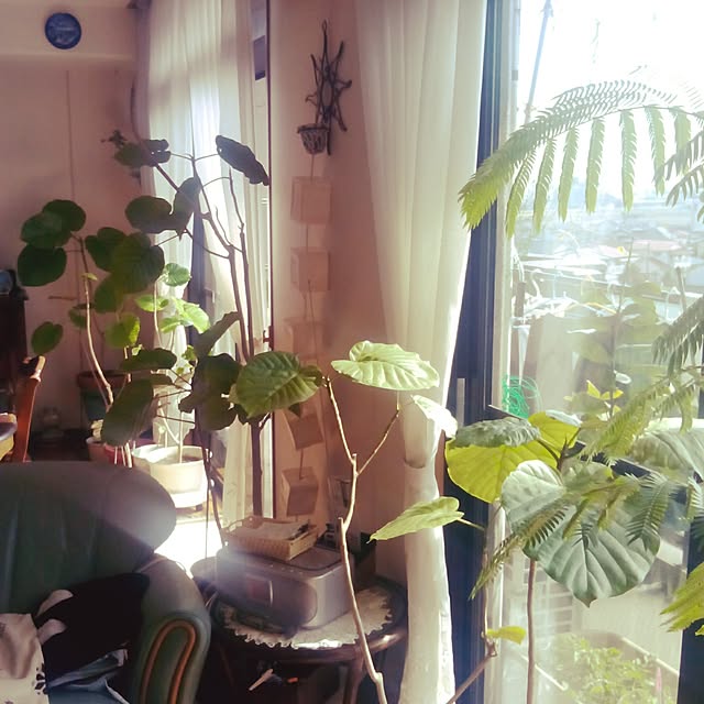 Yukio23kuniko07さんの実例写真