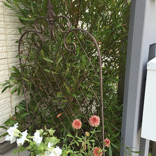 実例写真