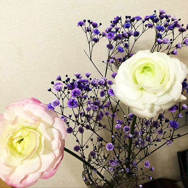 chacoさんの実例写真