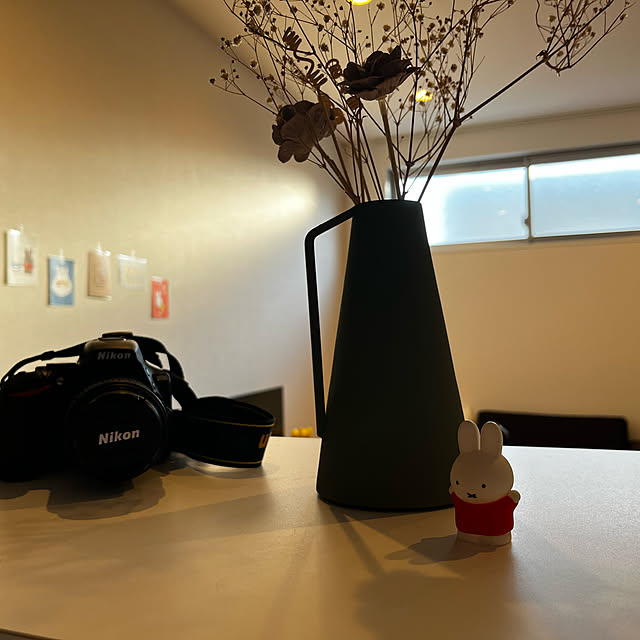 katupho.さんの実例写真