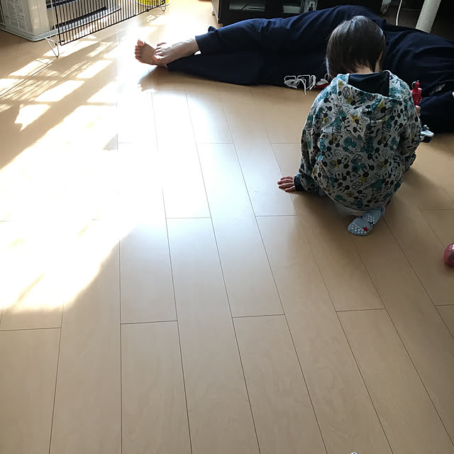 k_dinoさんの実例写真