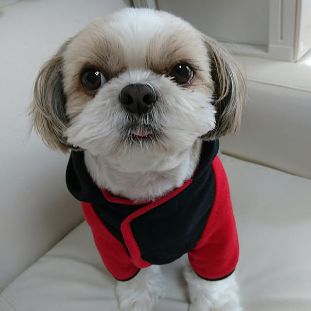 ronさんの実例写真