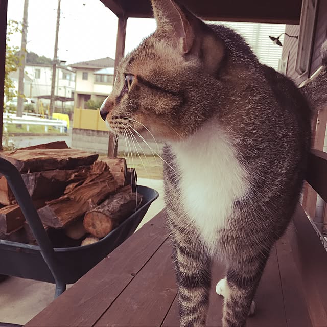 tsukiyuzuさんの実例写真
