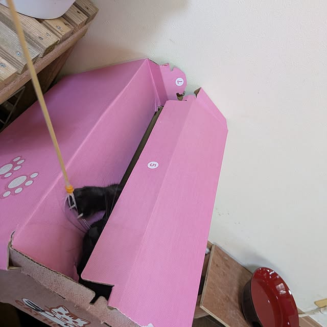 asaさんの部屋