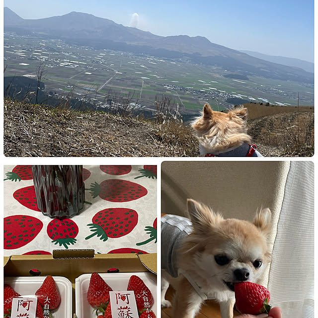 natsumiさんの実例写真