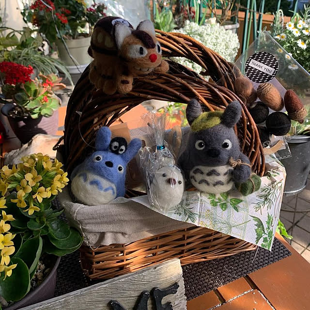 Aqettyさんの部屋