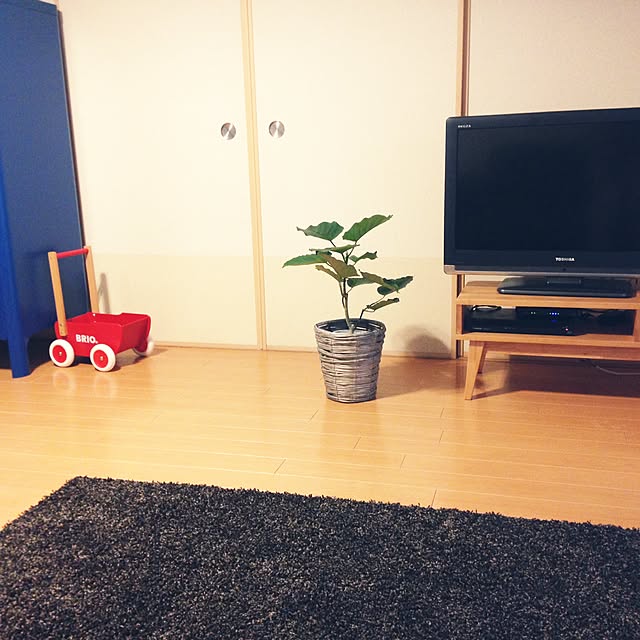 rioさんの実例写真