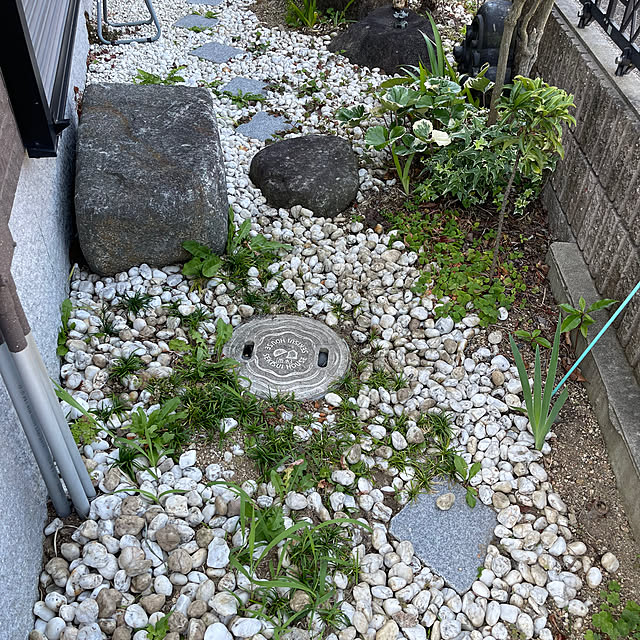 kikiさんの実例写真