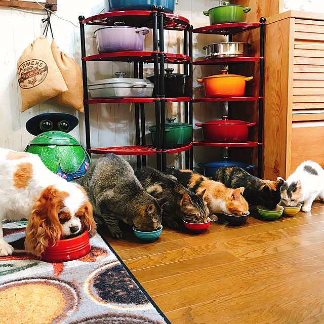 pepeさんの実例写真