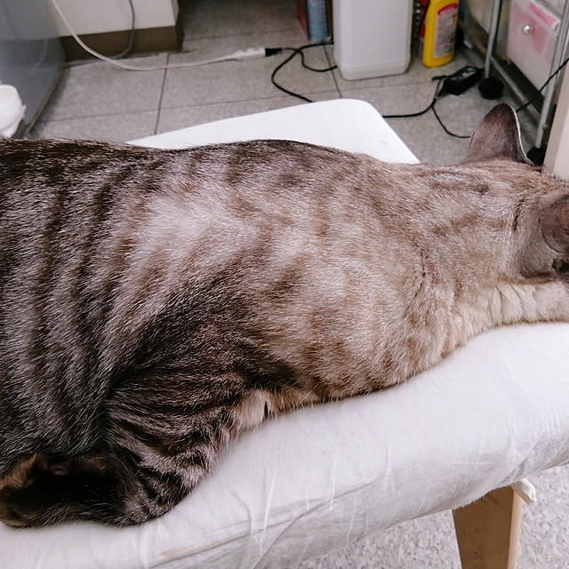 Manaさんの実例写真