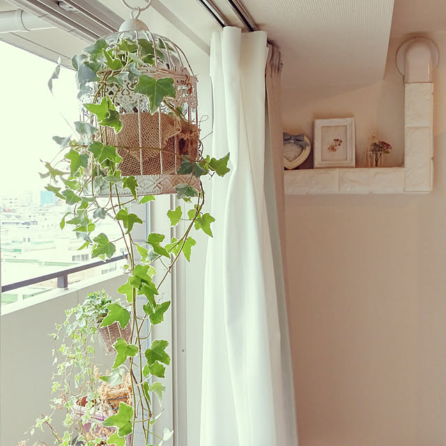m_chinさんの実例写真