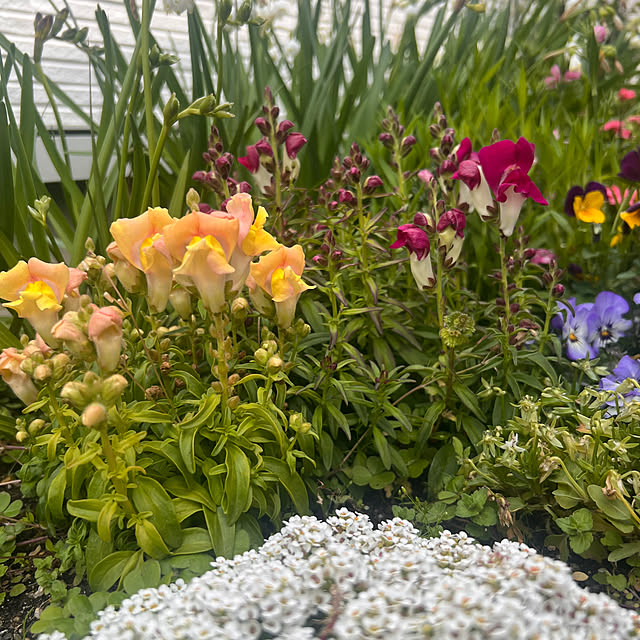 milkmanamaさんの実例写真