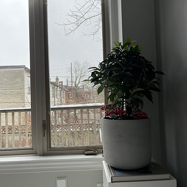 cocoarashさんの実例写真