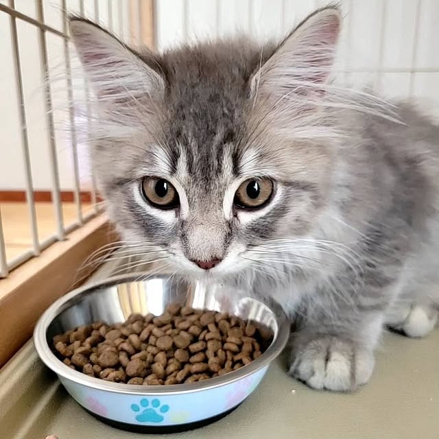 kossyさんの部屋